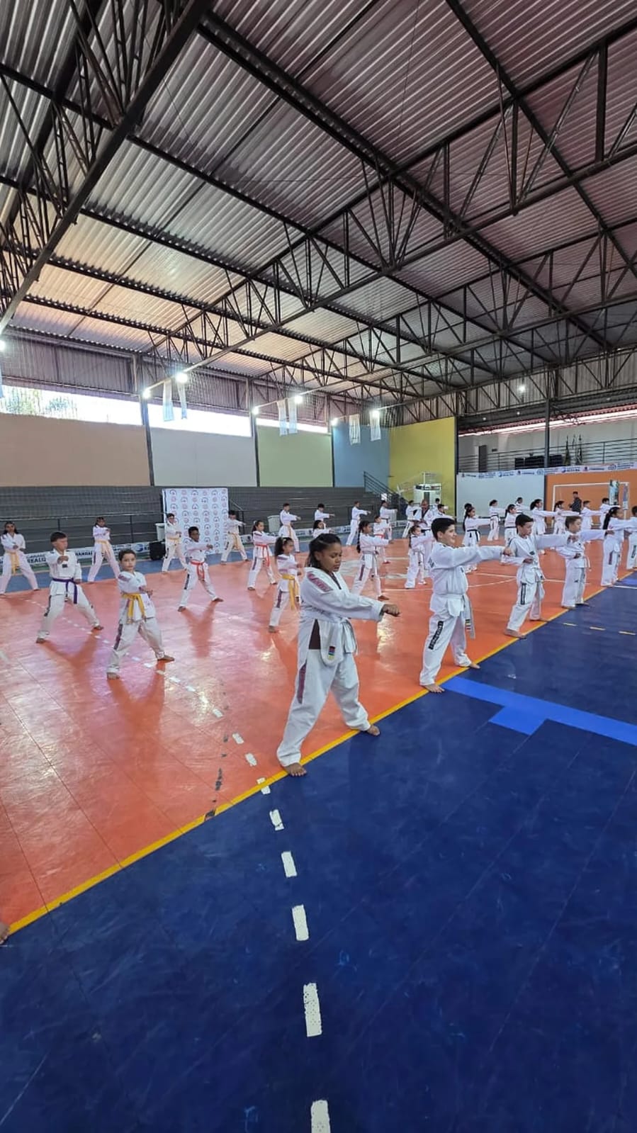 Alunos praticando golpes em formação no ginásio